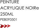PEINTURE ACRYLIQUE NOIRe 250ML PEB093501