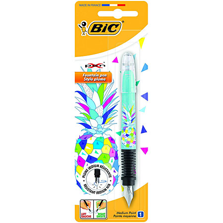 bic x pen fountain pen