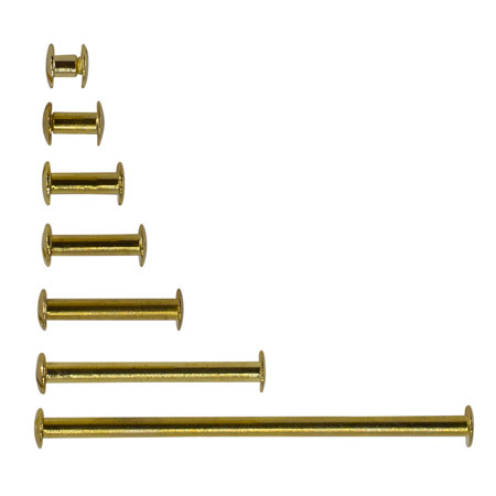 Bronyl Pack of 10 gold connecting screw