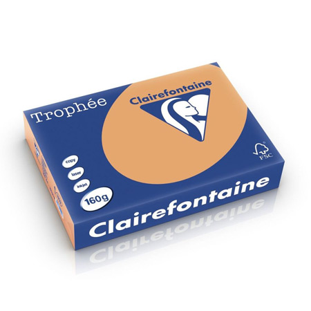 Clairefontaine Trophée - multipurpose paper - A4 - 160g/m² - pack of 250 sheets - gerecyclede verpakking