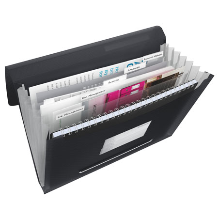 Esselte Vivida - plastic expandable file - A4 - 6 compartments - rubber band fastening - black