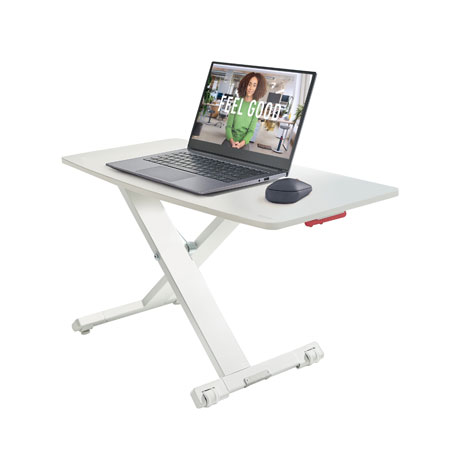 Leitz Ergo Cosy - sit/stand workstation - grey