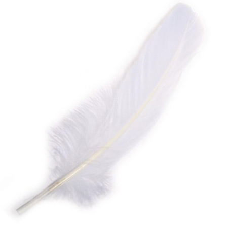 Rayher Sachet de 8 plumes d'oie - 16-20cm - blanc