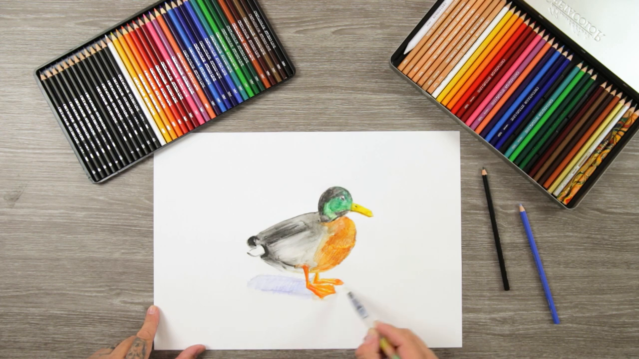 https://www.schleiper.com/thumbnails/video/mp4/22062023144651_cretacolor-speedpainting-duck_preview.png